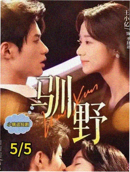 海云台的夏天 韩国电视剧在线观看